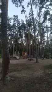 Голубой залив Электроприбор - 32