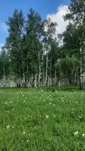Шайтан-Кудей - 9