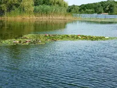 Светлячок - 2