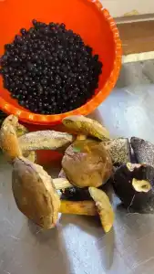 К-значит Карелия - 98