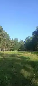 Озеро Великое - 33