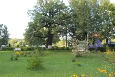 Ровесник - 19