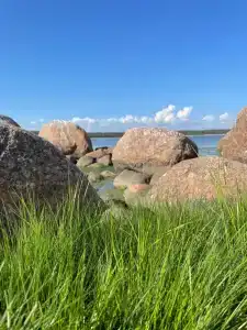 Бухта желтая - 26