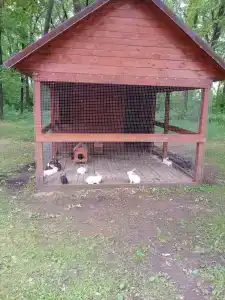 Чардым-Дубрава - 40