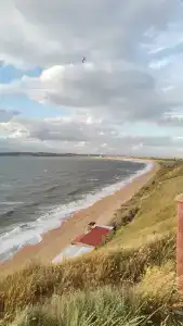 Зеркало - 41