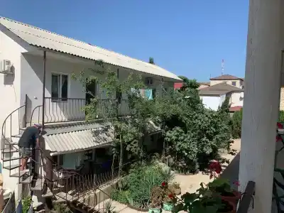 Амир-Дани - 17