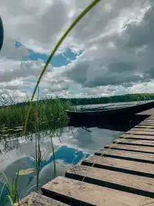 Скала - 47