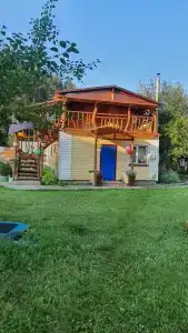 Усадьба Зыряновых - 25