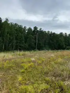 Сосенка - 34