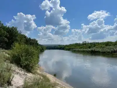 Сура - 64