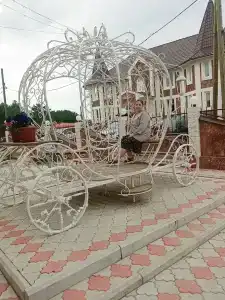 Белая Карета - 10