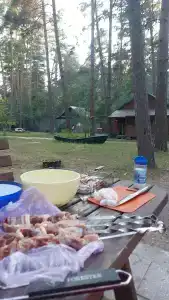Дружба - 6