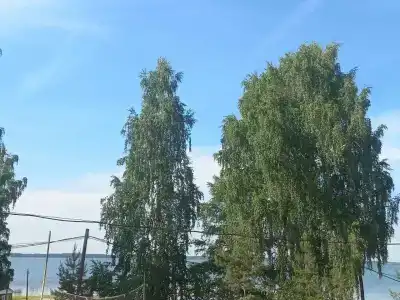 ЧТЗ - 18