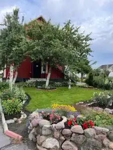 Волшебный Сад - 25