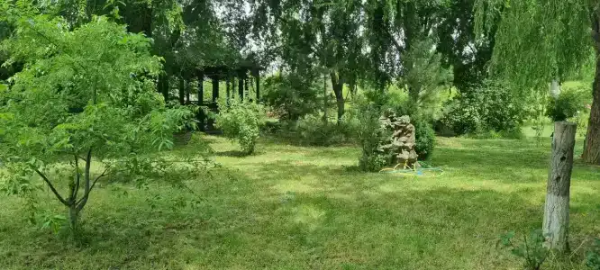 13 кордон - 61