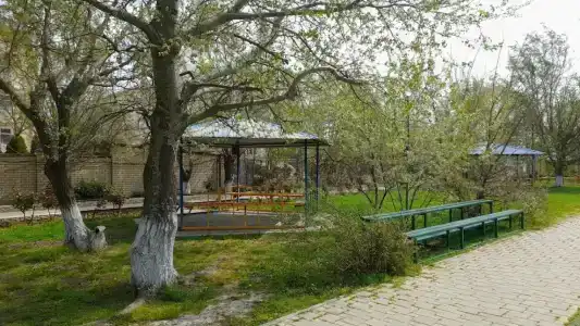 Глобус - 50