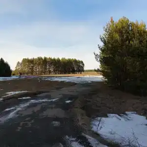 Башарово - 4