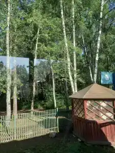 Огонек - 10