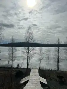 Лунный свет - 54