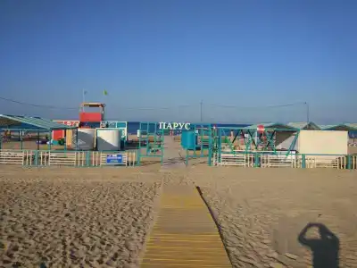 У Нелли - 35
