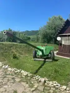 Снежный Барс - 60