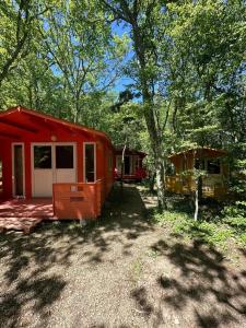 Эколоджия - 67