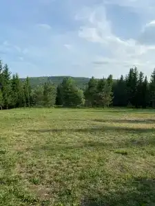 Красноусольский детский санаторий - 50