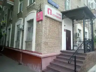 Подушкин Коптевская - 1