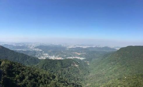 Kempinski Shenzhen - 16
