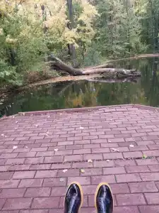 Живые Родники - 68