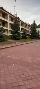 Хвойный - 78