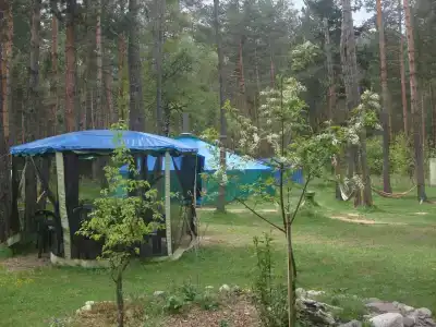Эдельвейс - 1
