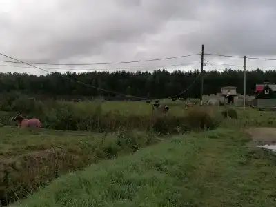 КСК Светозар - 29