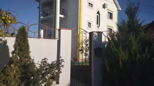 В Цвете - 1