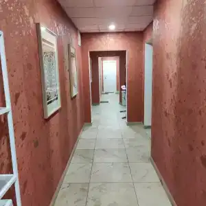 Крокус Стар - 13