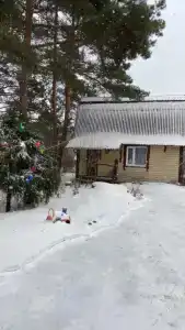 Гнездо аиста - 12