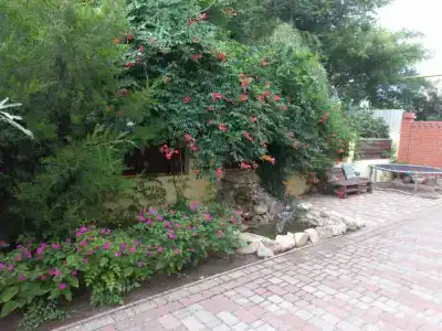 Paradise - 4