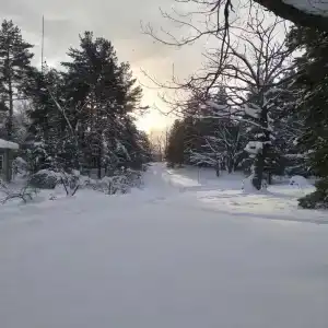 Дубки-В гостях у сказки - 85