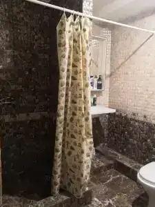 Сосновый бор - 20