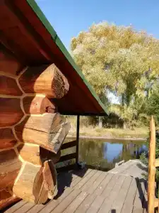 У Борисыча - 7