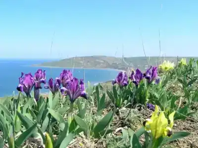 Частный дом на Октябрьской 36 - 5