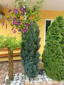 Прибой - 24