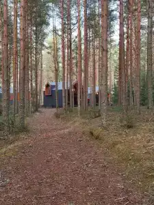 Seliger Wind - 83