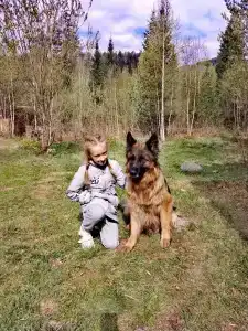 Медвежья берлога - 4
