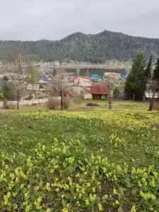 Усадьба Сафроновых - 13