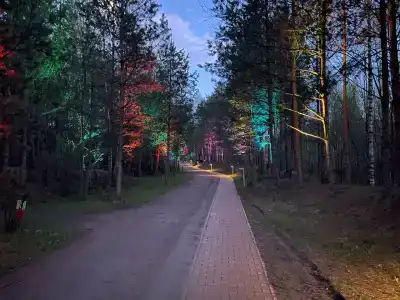 Лисья нора - 91
