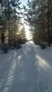 Иночь - 30