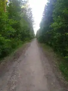 Веселый ключ - 15