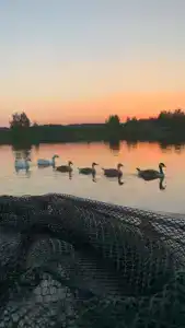 Алешкины пруды - 41