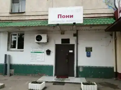 Пони - 2